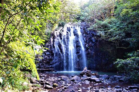 mila mila falls|atherton waterfall circuit.